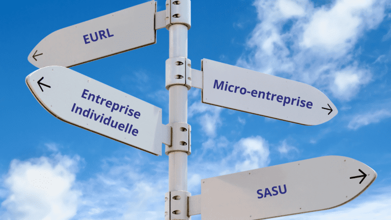 Quel statut juridique choisir pour créer son entreprise seul ? Le guide complet 2025